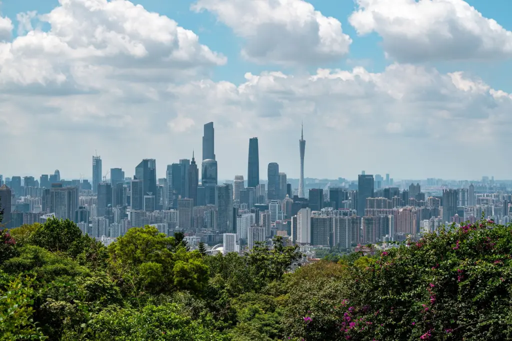 教学设备采购指南:数字化校园建设关键设备选型要点