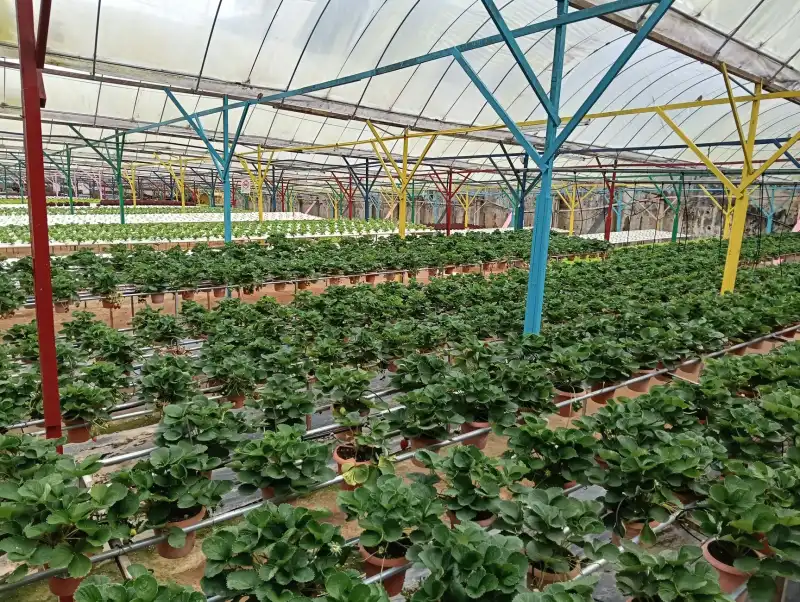 教育信息化2.0背景下教学设备升级趋势与区域实践