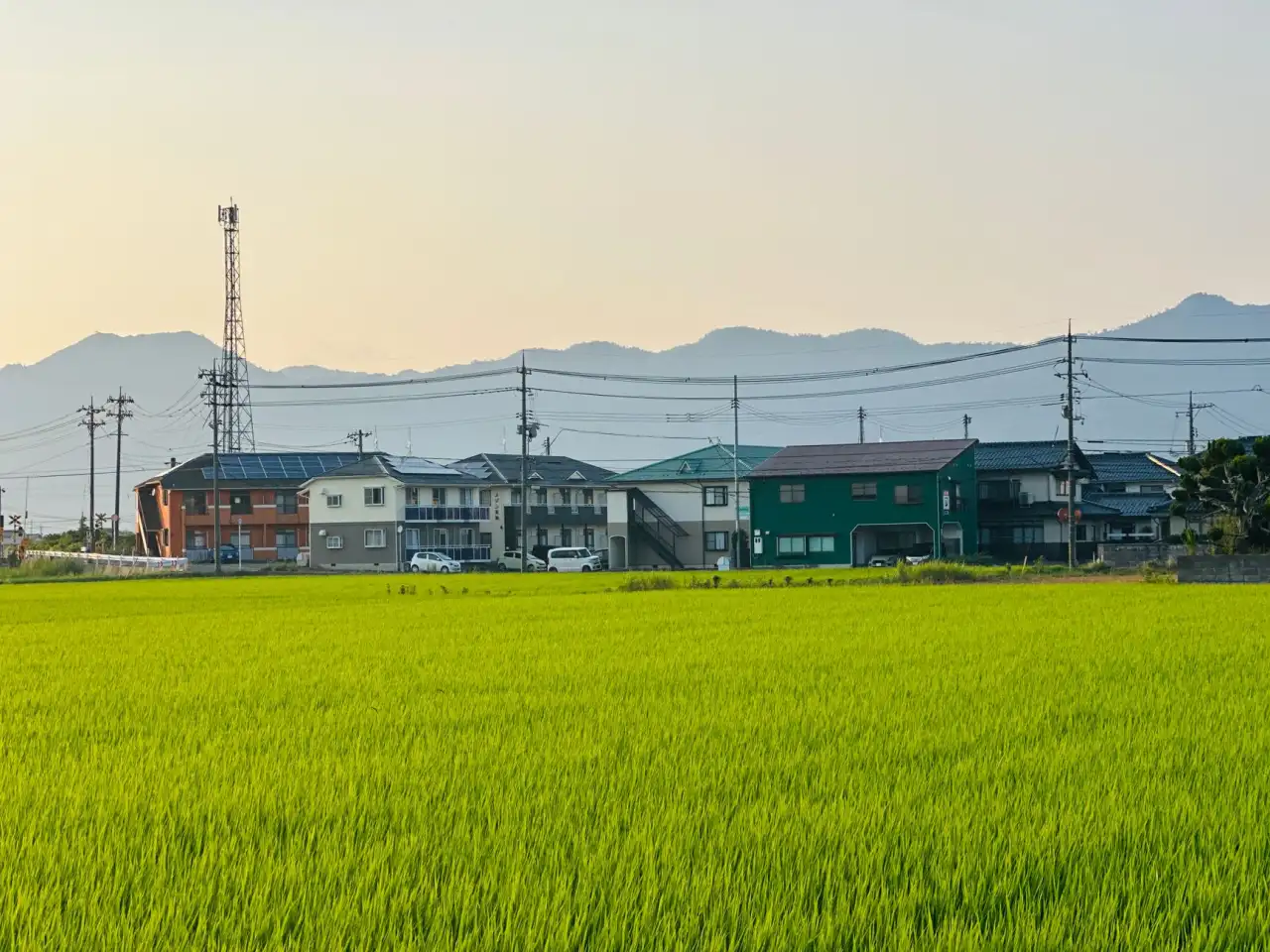 2025年智慧教育技术趋势：AI与大数据驱动下的教学管理升级